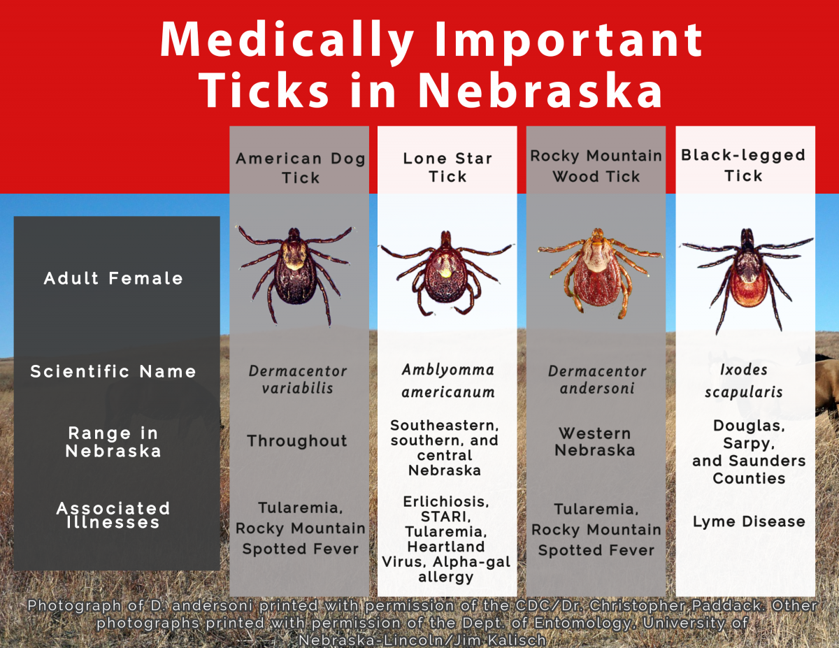 four Nebraska ticks