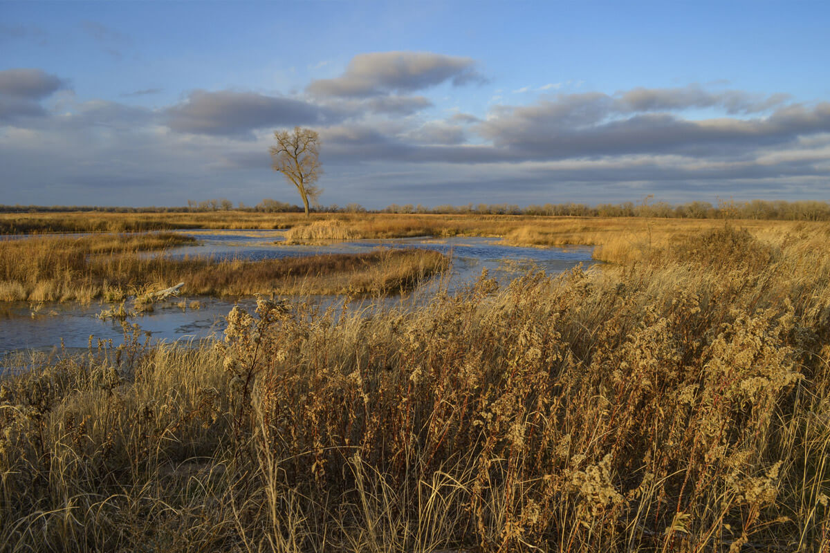 Nebraska landscape in afternoon with a stream